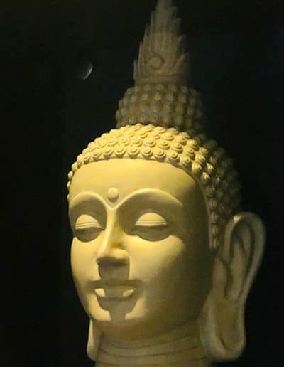 image14